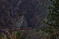 UP 4953 West.  West of Pulga, CA.