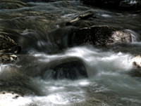 Angeles National Forest (CA) 1