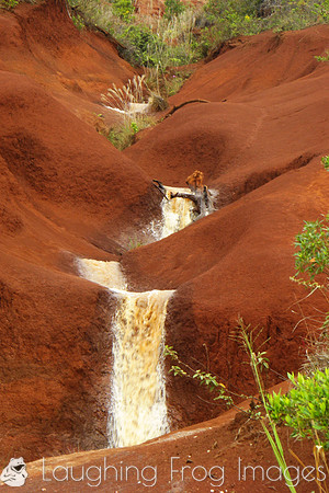 Red dirt, red water.  Along Waimea Canyon Drive.  Kauai, HI