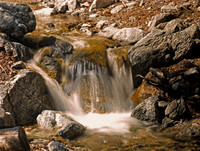 Angeles National Forest (CA) 2