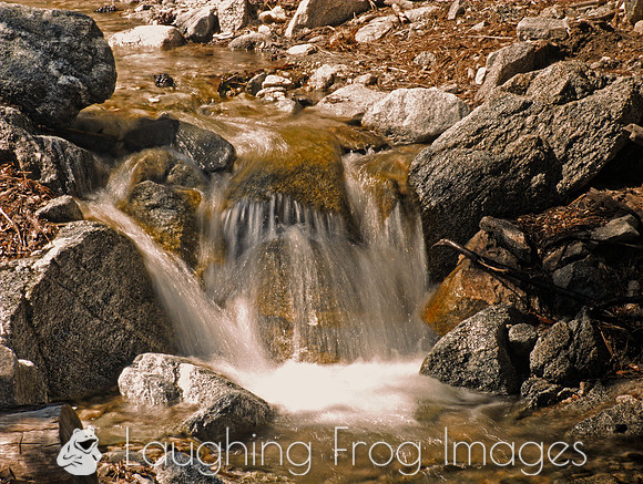 Angeles National Forest (CA) 2