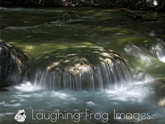 Angeles National Forest (CA) 3