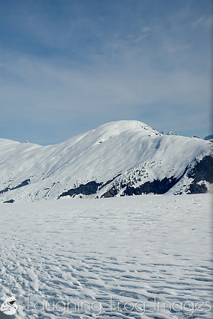 Glaciers, mountains, and snow in and around Taku Inlet taken from a De Haviland DHC-3 Otter of Wings Airways