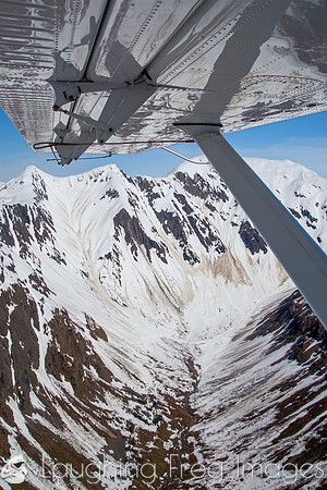 Glaciers, mountains, and snow in and around Taku Inlet taken from a De Haviland DHC-3 Otter of Wings Airways