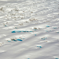 Glaciers, mountains, and snow in and around Taku Inlet taken from a De Haviland DHC-3 Otter of Wings Airways