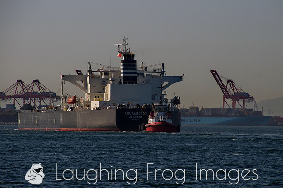 Aqualegend and Tug, Los Angeles - Long Beach, CA