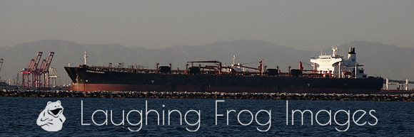 Cygnus Voyager, Los Angeles - Long Beach, CA