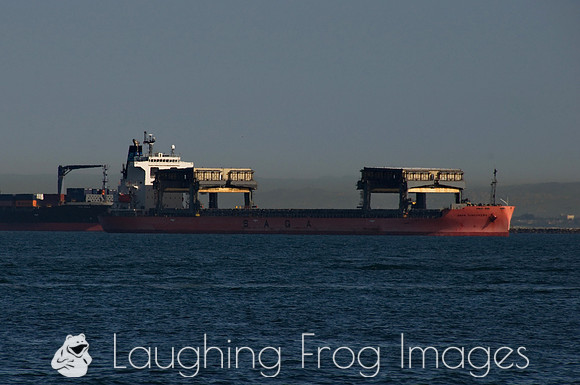 Saga Discovery, Los Angeles - Long Beach, CA