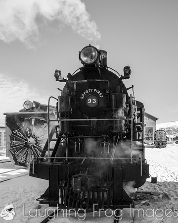 Nevada Northern 2019