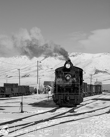 Nevada Northern 2019