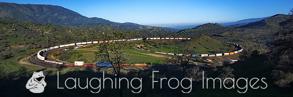 BNSF 4610 East -6.  Tehachapi Loop. Walong, CA.  2016.