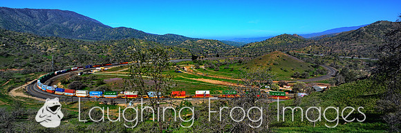 BNSF 66xx West -2.  Tehachapi Loop. Walong, CA.  2016.