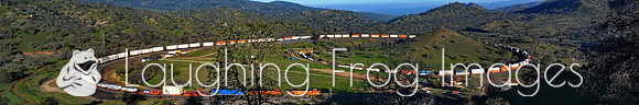 BNSF 4610 East -7.  Tehachapi Loop. Walong, CA.  2016.