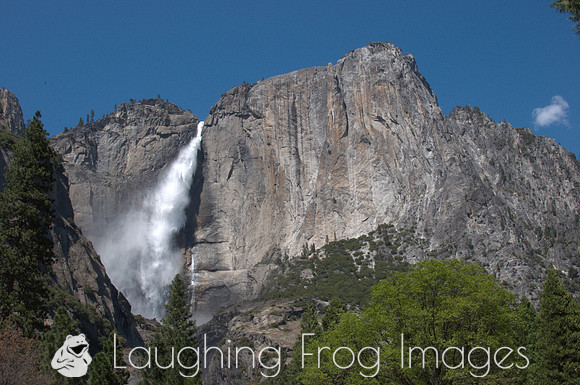 Yosemite Falls 13