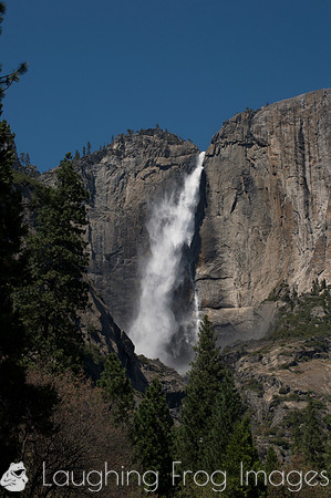 Yosemite Falls 15