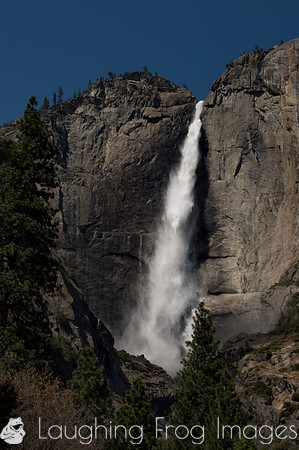 Yosemite Falls 16