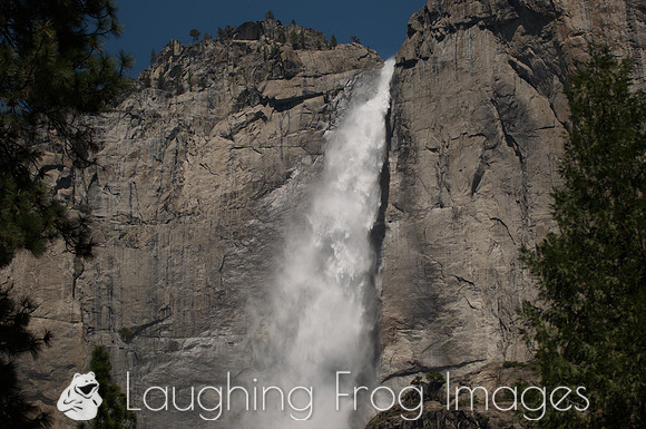 Yosemite Falls 11