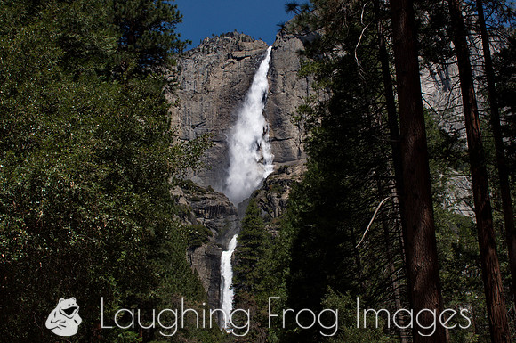 Upper and Lower Yosemite Falls 2