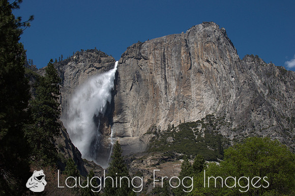 Yosemite Falls 12