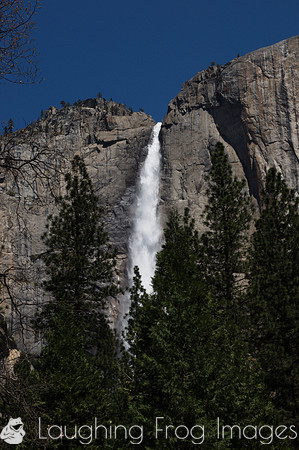 Yosemite Falls 1