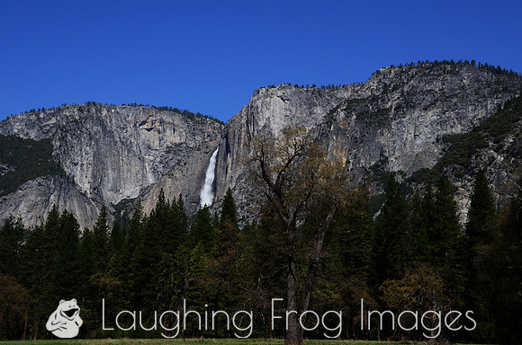 Yosemite Falls 5