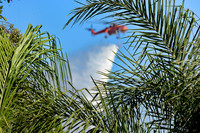 N518AC S64F Erickson Air-Crane 7