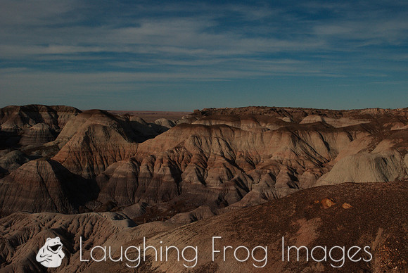 Petrified Forest N.P. 6