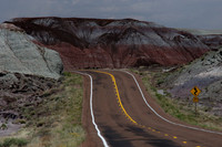 Petrified Forest N.P. 4
