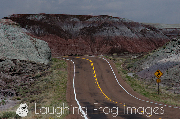 Petrified Forest N.P. 4