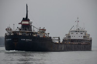 Algoma Montrealais downbound at St. Clair, MI