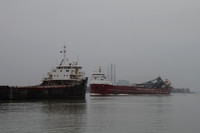 Algoma Montrealais downbound at St. Clair, MI passing CSL Tadoussac