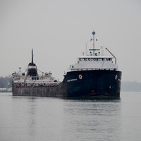 Algoma Montrealais downbound at St. Clair, MI