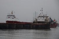 Algoma Montrealais downbound at St. Clair, MI passing CSL Tadoussac