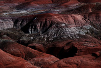 Painted Desert N.P. 5