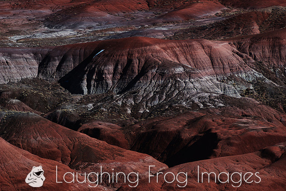 Painted Desert N.P. 5