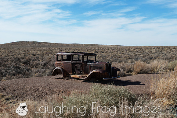 Car, Painted Desert N.P.