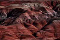 Painted Desert N.P. 4