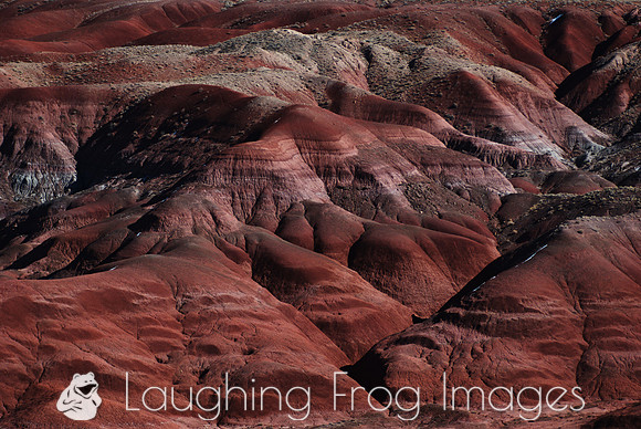 Painted Desert N.P. 4