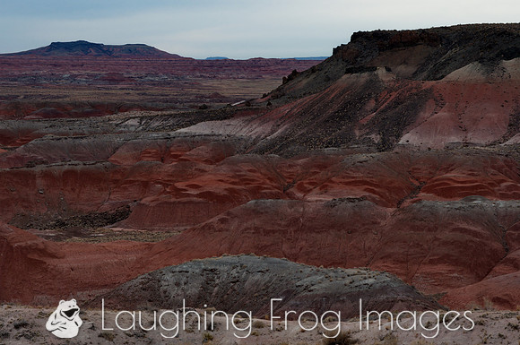 Painted Desert N.P. 2