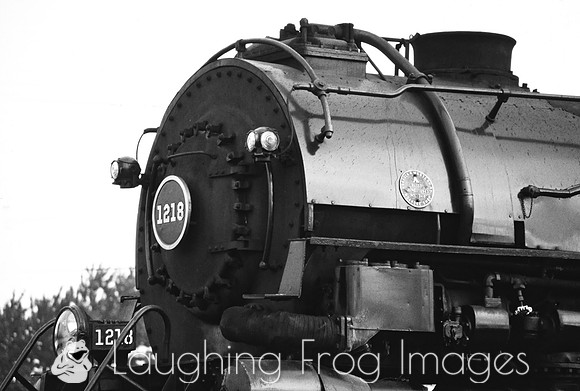 N&W 1218, Bellevue, OH