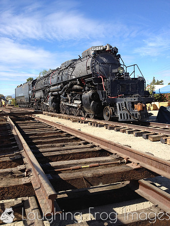 UP Big Boy 4014 at Fairplex 20