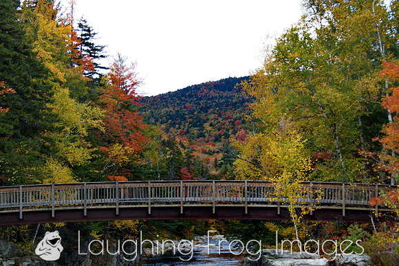 Rocky Gorge, Swift River 3