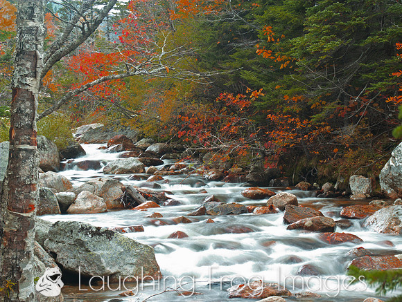 Ellis River above Glen Ellis Falls
