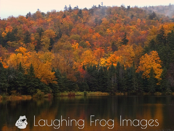 Saco Lake 1