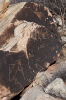 Petroglyphs of Petrified Forest N.P. 4