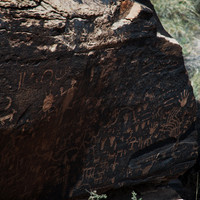Petroglyphs of Petrified Forest N.P. 1