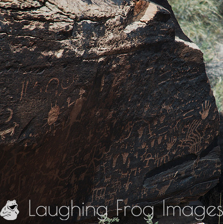 Petroglyphs of Petrified Forest N.P. 1