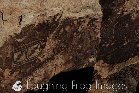 Petroglyphs of Petrified Forest N.P. 3