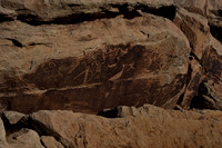 Petroglyphs of Petrified Forest N.P. 2