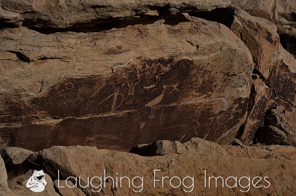 Petroglyphs of Petrified Forest N.P. 2